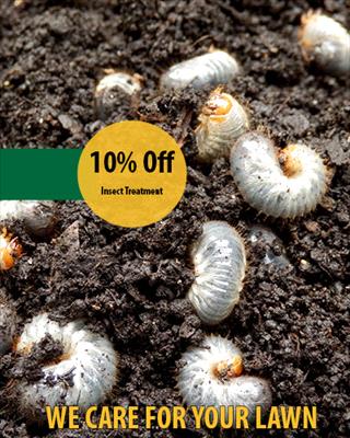 10 off deal on insect treatment